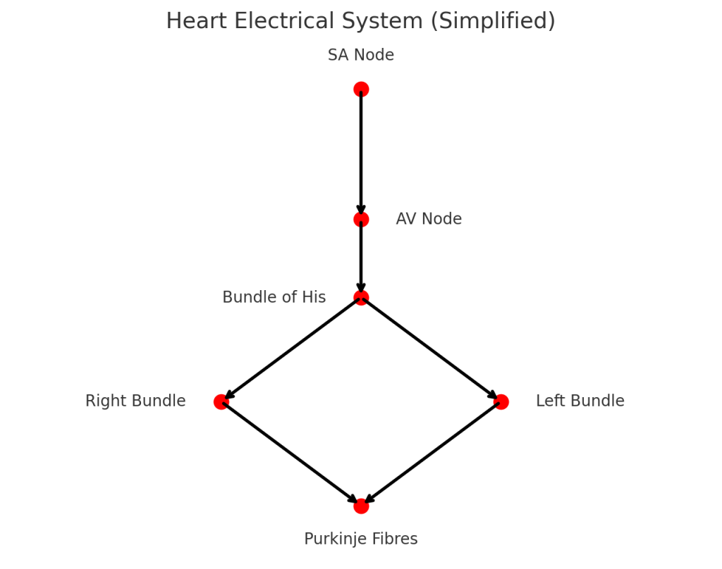 Hearts Electrical System diagram